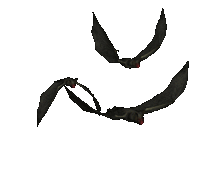 bats and also vampires.